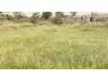 land-for-farming-small-1