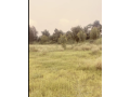 land-for-farming-small-0