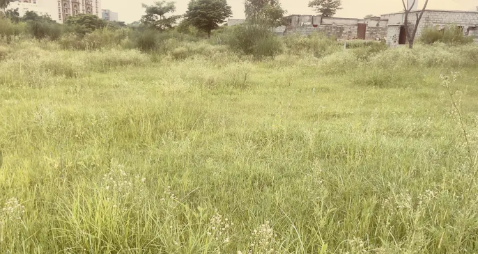 land-for-farming-big-1