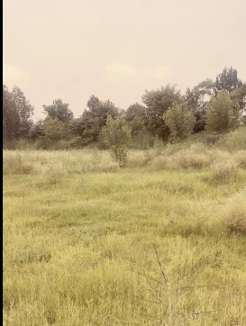 land-for-farming-big-0