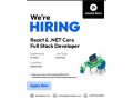 senior-full-stack-developer-react-net-core-small-0