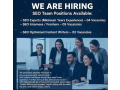 seo-experts-content-writers-experience-agents-required-jobs-small-0