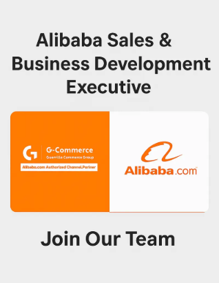 Alibaba Sales & Business Development Executive