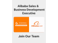 alibaba-sales-business-development-executive-small-0