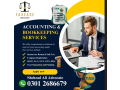 sales-taxincome-tax-returntax-consultantfbrtax-filer-ntnsecpntn-small-0