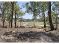 24-kanal-commercial-land-available-for-rent-small-0
