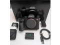 sony-a7iv-only-body-pinpack-one-year-official-warranty-small-0