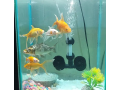 aquarium-for-sale-stylish-stand-ke-sath-small-0