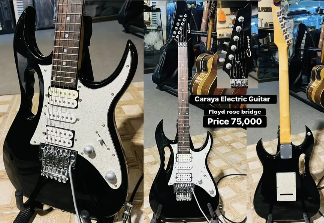 Caraya Electric Guitar Floyd bridge / Acoustic / Keyboard / Piano