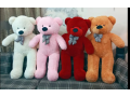 chinese-stuff-and-american-stuff-teady-bear-available-03701411297-small-1