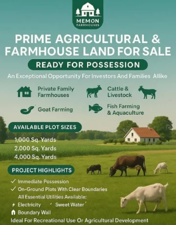 Farmhouse & Cattlefarm Land