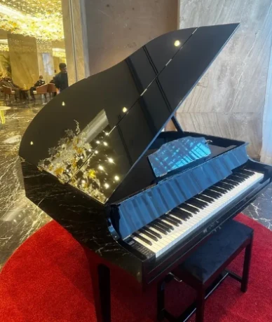 Bassclef Grand Piano/Grand Piano/piano/pool table/snookers/rugs/sofa