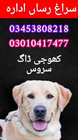 Army dog centre 03453808218//03010417477